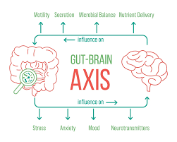 Gut Brain Axis